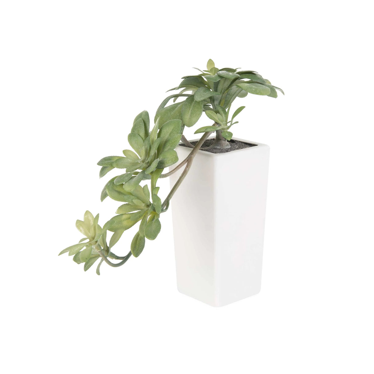 Planta Artificial Suculenta Hojas - Fiotti