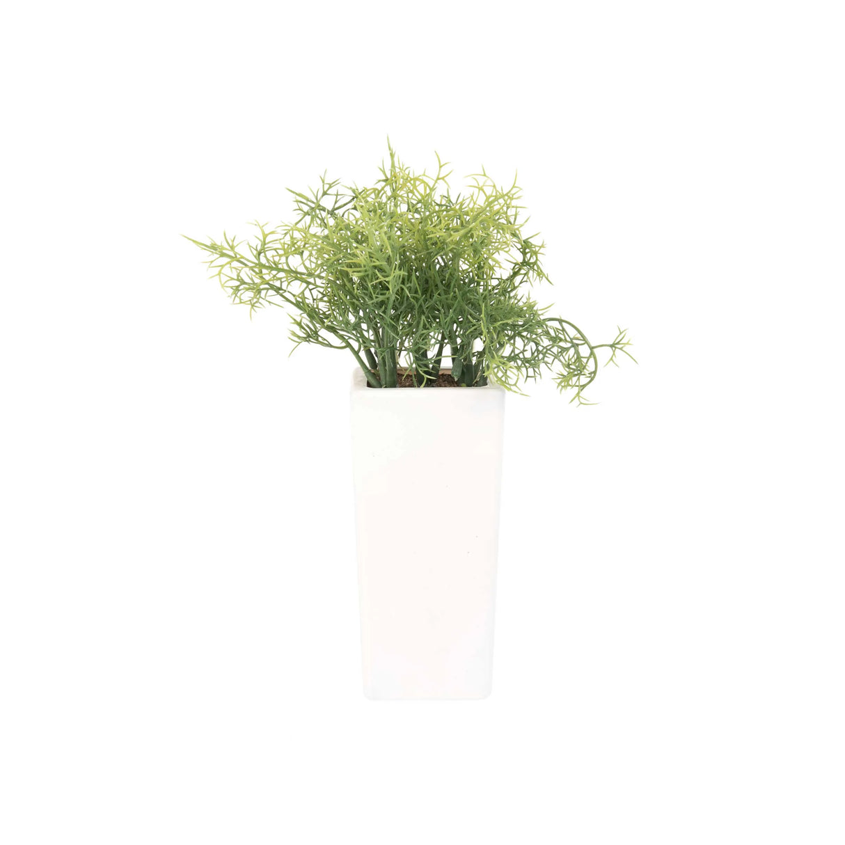 Planta Artificial Suculenta Helecho - Fiotti