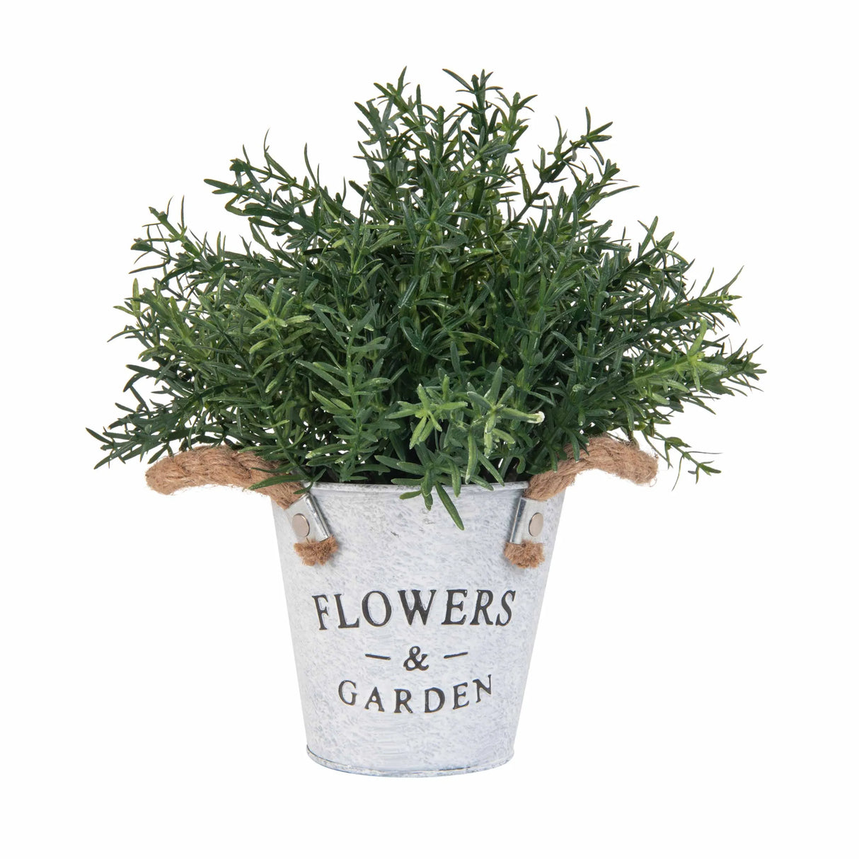 Planta Artificial Helecho Envase - Fiotti