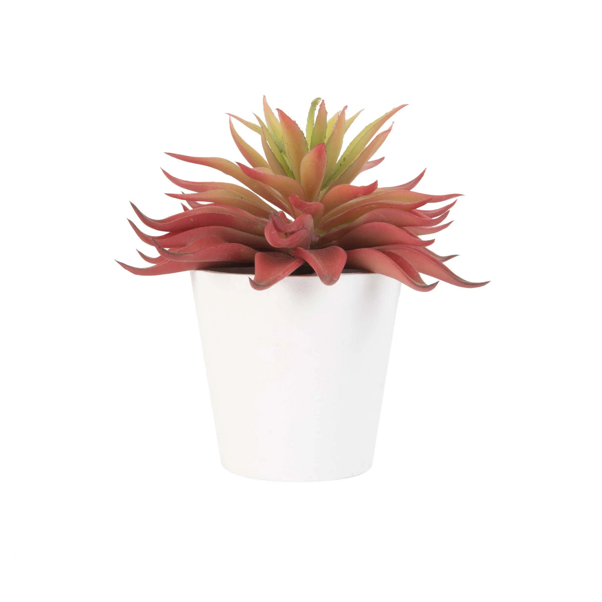 Planta Artificial Suculentas Puntas - Fiotti