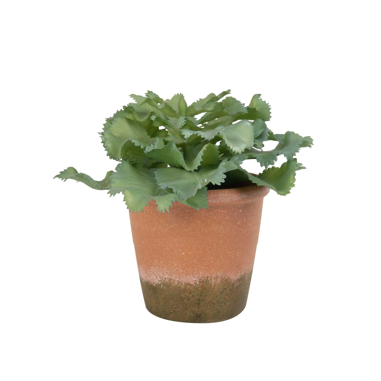 Planta Artificial Suculenta Lechuga - Fiotti