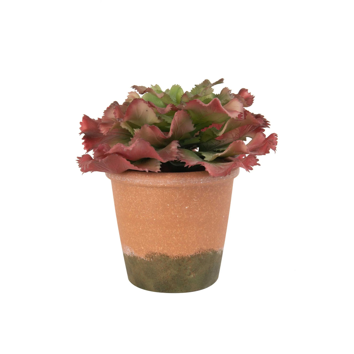 Planta Artificial Suculenta Lechuga - Fiotti