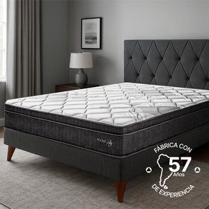 Colchón Pocket Star Essenza Queen 1.60m