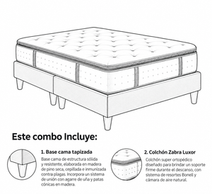 Combo Zabra Luxor